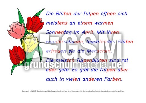 Tulpe-Abschreibtexte 3.pdf
